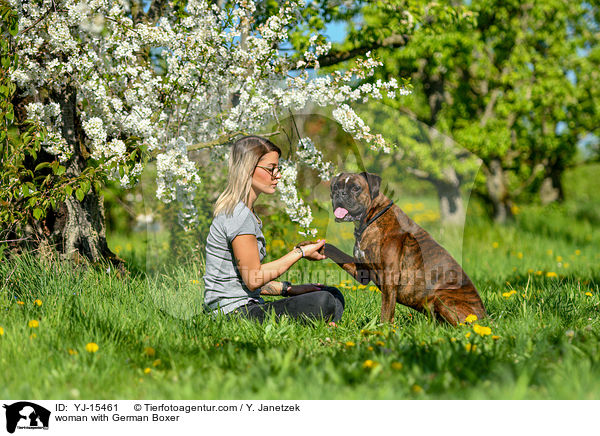 woman with German Boxer / YJ-15461