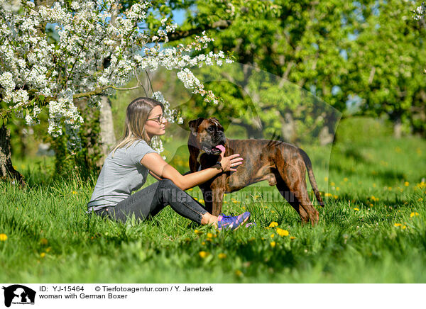woman with German Boxer / YJ-15464