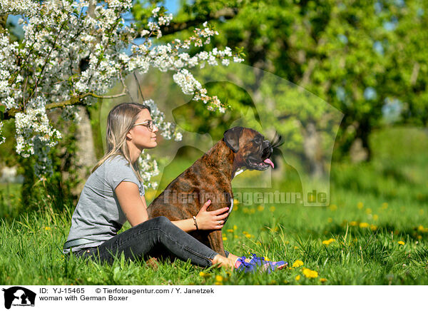 woman with German Boxer / YJ-15465