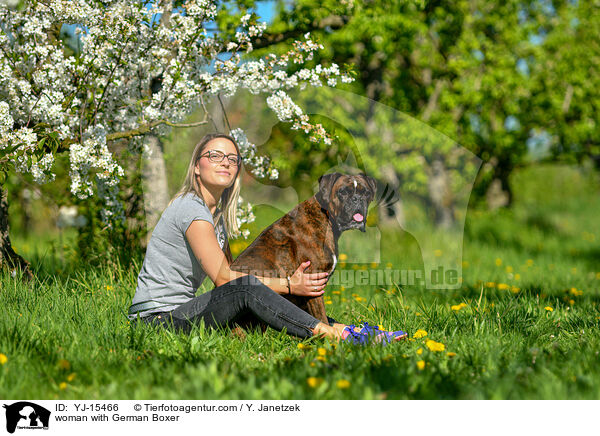 woman with German Boxer / YJ-15466