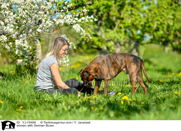 woman with German Boxer / YJ-15468