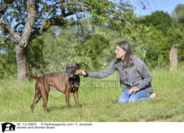 woman and German Boxer / YJ-15970