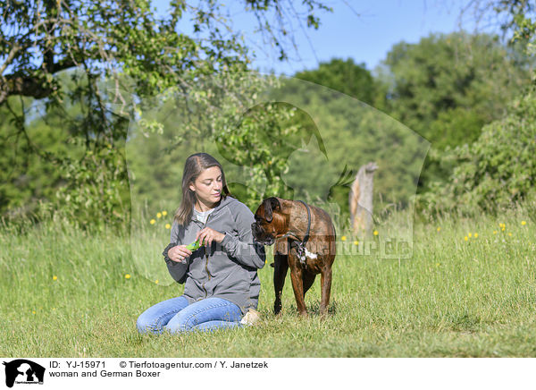 woman and German Boxer / YJ-15971