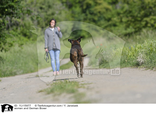 woman and German Boxer / YJ-15977
