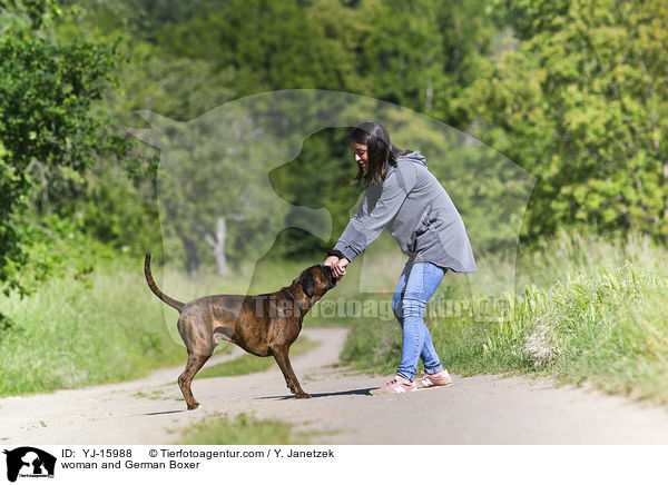 woman and German Boxer / YJ-15988