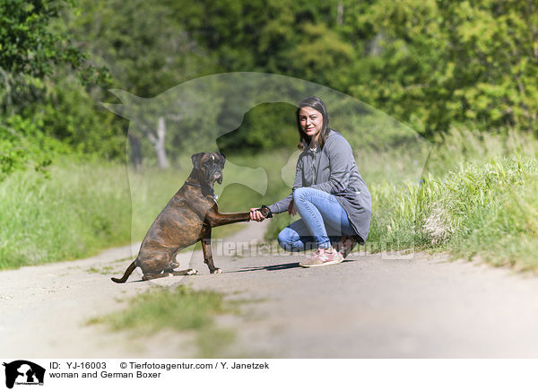 woman and German Boxer / YJ-16003