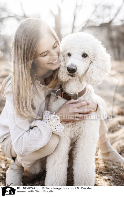 woman with Giant Poodle / NP-02445
