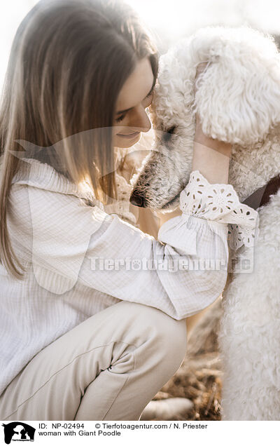 woman with Giant Poodle / NP-02494
