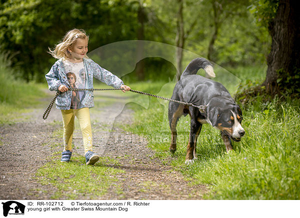 young girl with Greater Swiss Mountain Dog / RR-102712