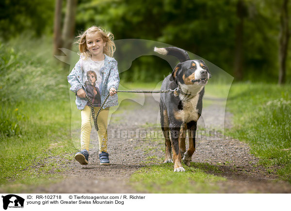 young girl with Greater Swiss Mountain Dog / RR-102718