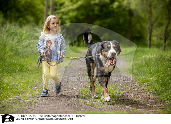 young girl with Greater Swiss Mountain Dog / RR-102719