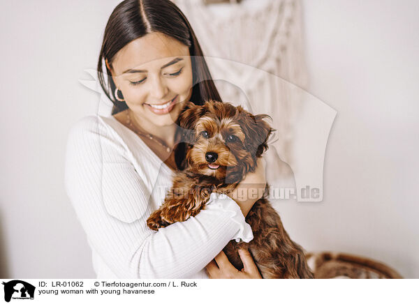 young woman with young havanese / LR-01062