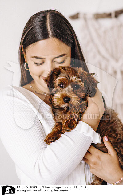 young woman with young havanese / LR-01063