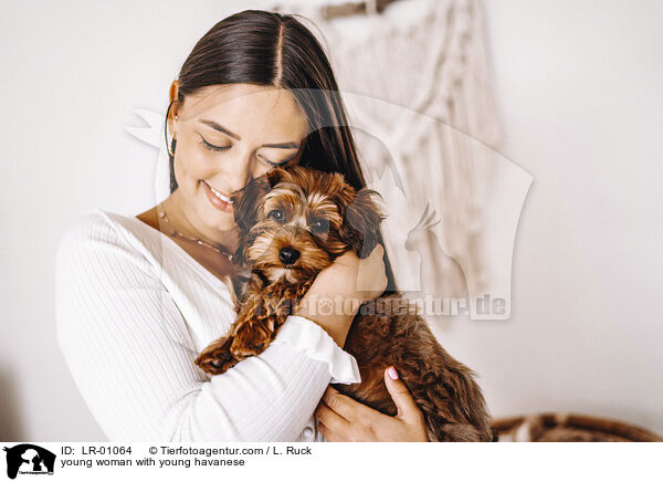 young woman with young havanese / LR-01064
