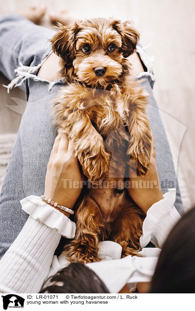 young woman with young havanese / LR-01071