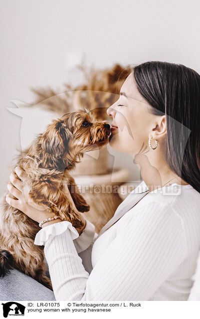 young woman with young havanese / LR-01075