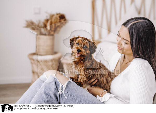 young woman with young havanese / LR-01080