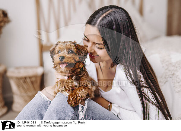 young woman with young havanese / LR-01083
