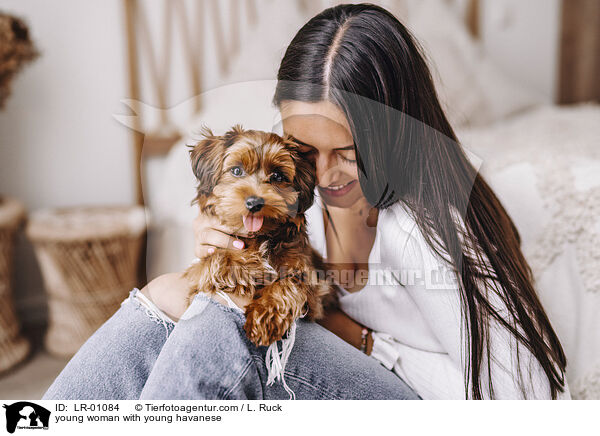young woman with young havanese / LR-01084