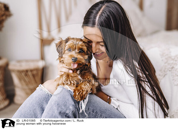 young woman with young havanese / LR-01085
