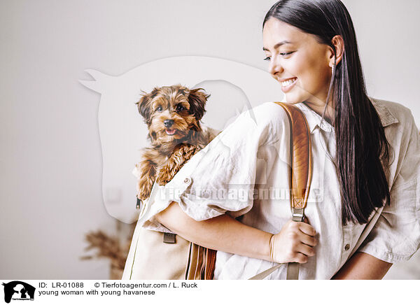 young woman with young havanese / LR-01088