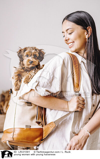 young woman with young havanese / LR-01091