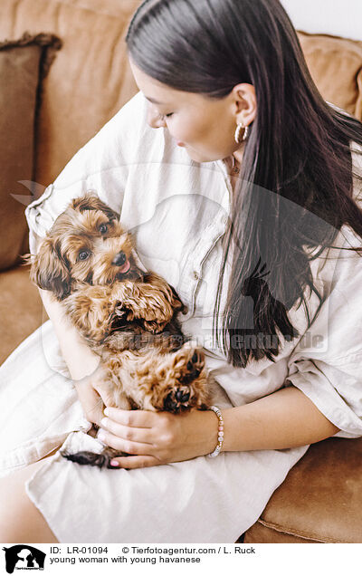young woman with young havanese / LR-01094