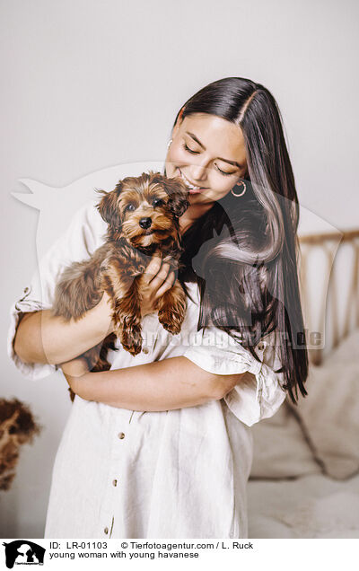 young woman with young havanese / LR-01103