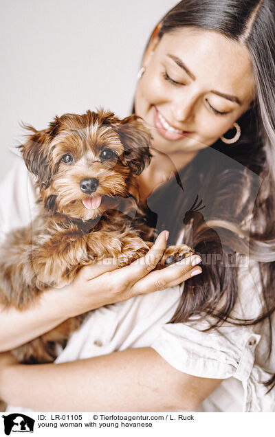 young woman with young havanese / LR-01105