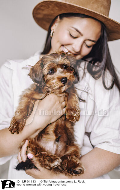young woman with young havanese / LR-01113