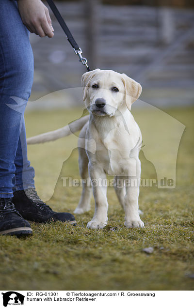 human with Labrador Retriever / RG-01301