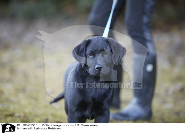 human with Labrador Retriever / RG-01310