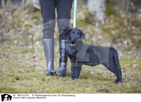human with Labrador Retriever / RG-01314
