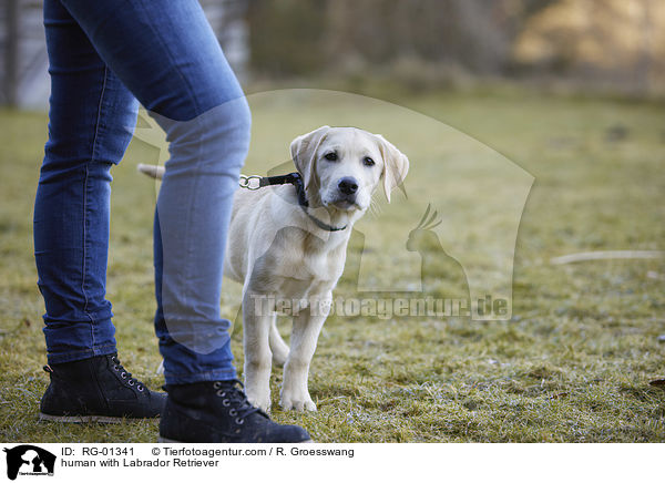 human with Labrador Retriever / RG-01341