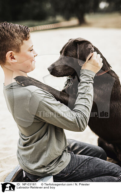 Labrador Retriever and boy / NP-03181