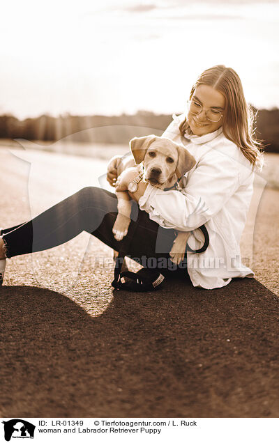 woman and Labrador Retriever Puppy / LR-01349
