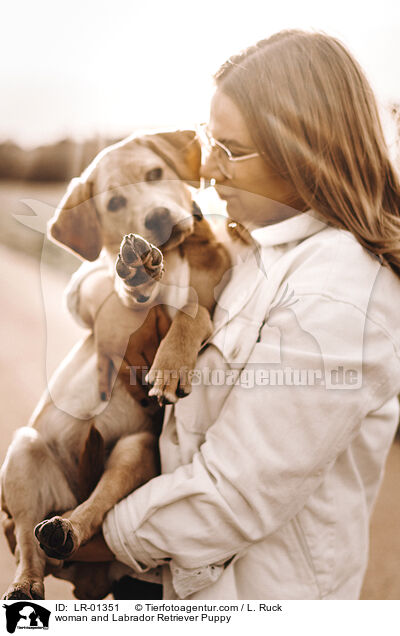 woman and Labrador Retriever Puppy / LR-01351