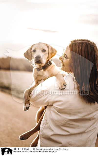 woman and Labrador Retriever Puppy / LR-01352