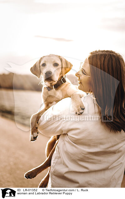 Frau und Labrador Retriever Welpe / woman and Labrador Retriever Puppy / LR-01352