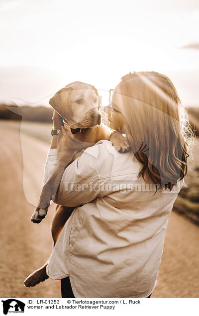 woman and Labrador Retriever Puppy / LR-01353