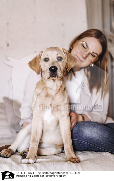 woman and Labrador Retriever Puppy / LR-01371