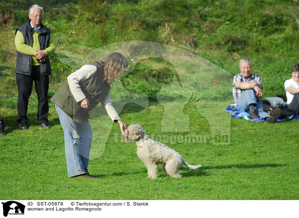 woman and Lagotto Romagnolo / SST-05878