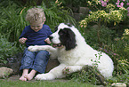child and Landseer Puppy