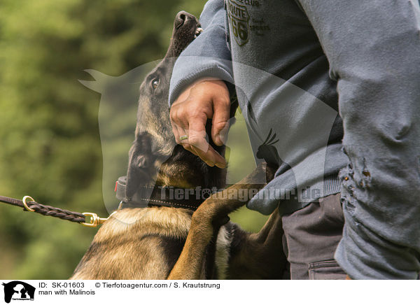 man with Malinois / SK-01603