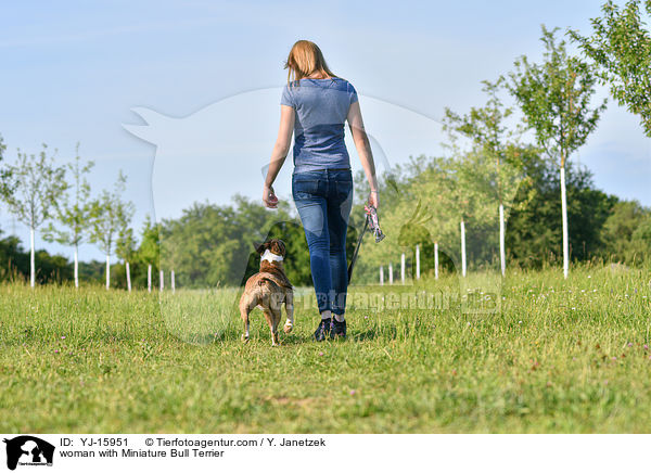 woman with Miniature Bull Terrier / YJ-15951