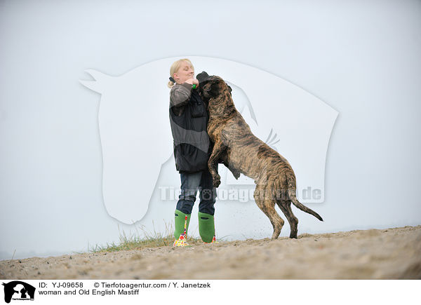 woman and Old English Mastiff / YJ-09658