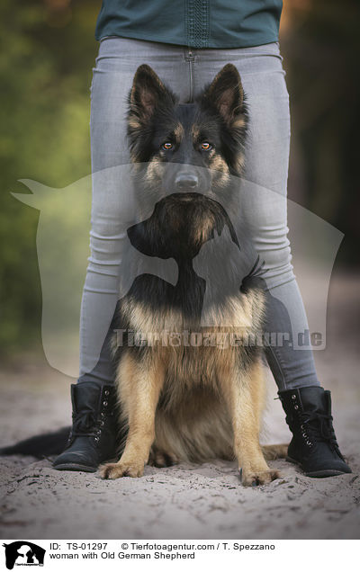 woman with Old German Shepherd / TS-01297