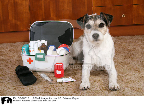Parson Russell Terrier with first aid box / SS-16812