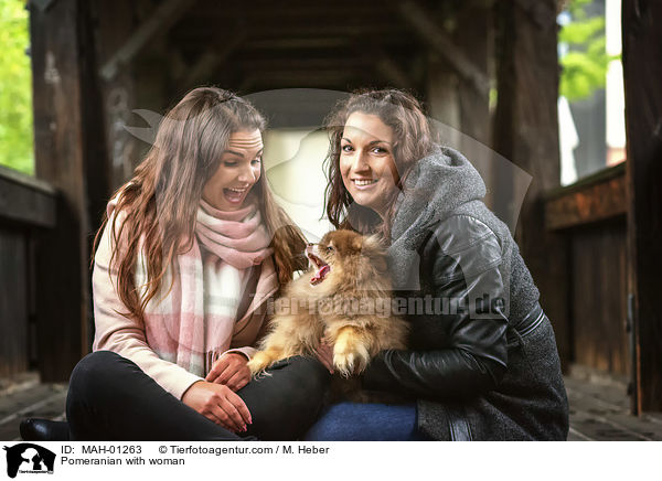 Zwergspitz mit Frauen / Pomeranian with woman / MAH-01263