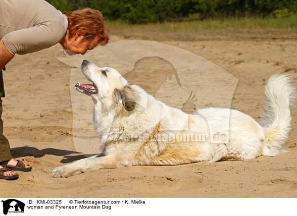 woman and Pyrenean Mountain Dog / KMI-03325
